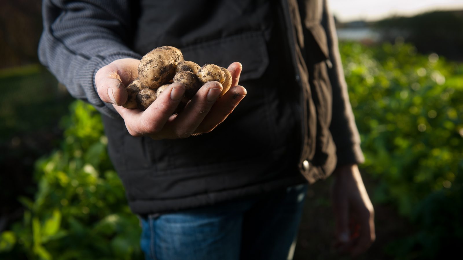 agence-producteurs-locaux-damien-kuhn-t2nC3sC-bdQ-unsplash